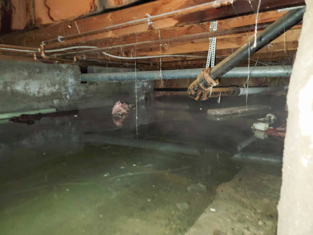Best Commercial water damage restoration  in Putnam Lake, NY
