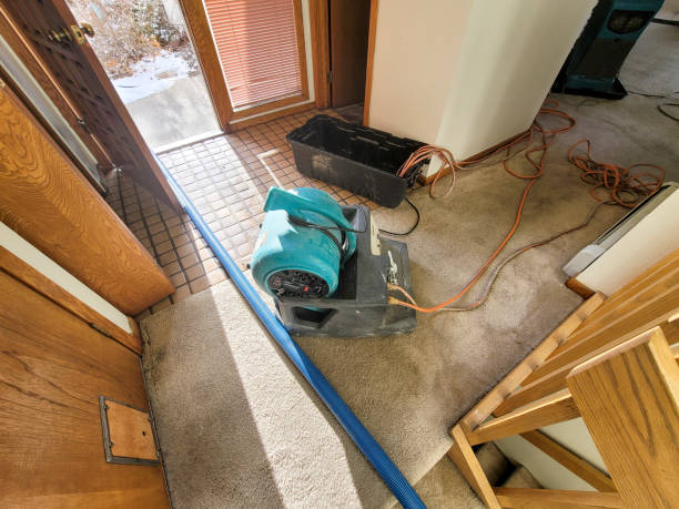 Best Mold removal after water damage  in Putnam Lake, NY