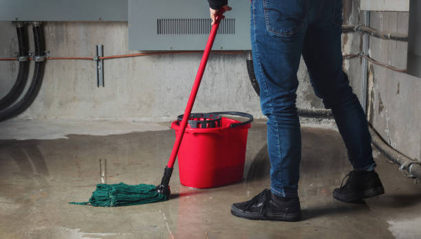 Best Local water damage restoration  in Putnam Lake, NY