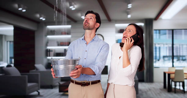 Best Water damage restoration insurance claims  in Putnam Lake, NY