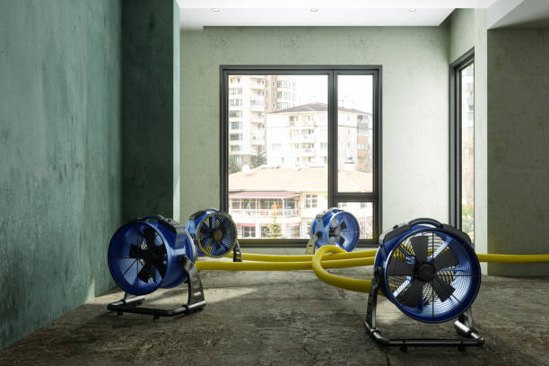 Best Professional water damage repair  in Putnam Lake, NY